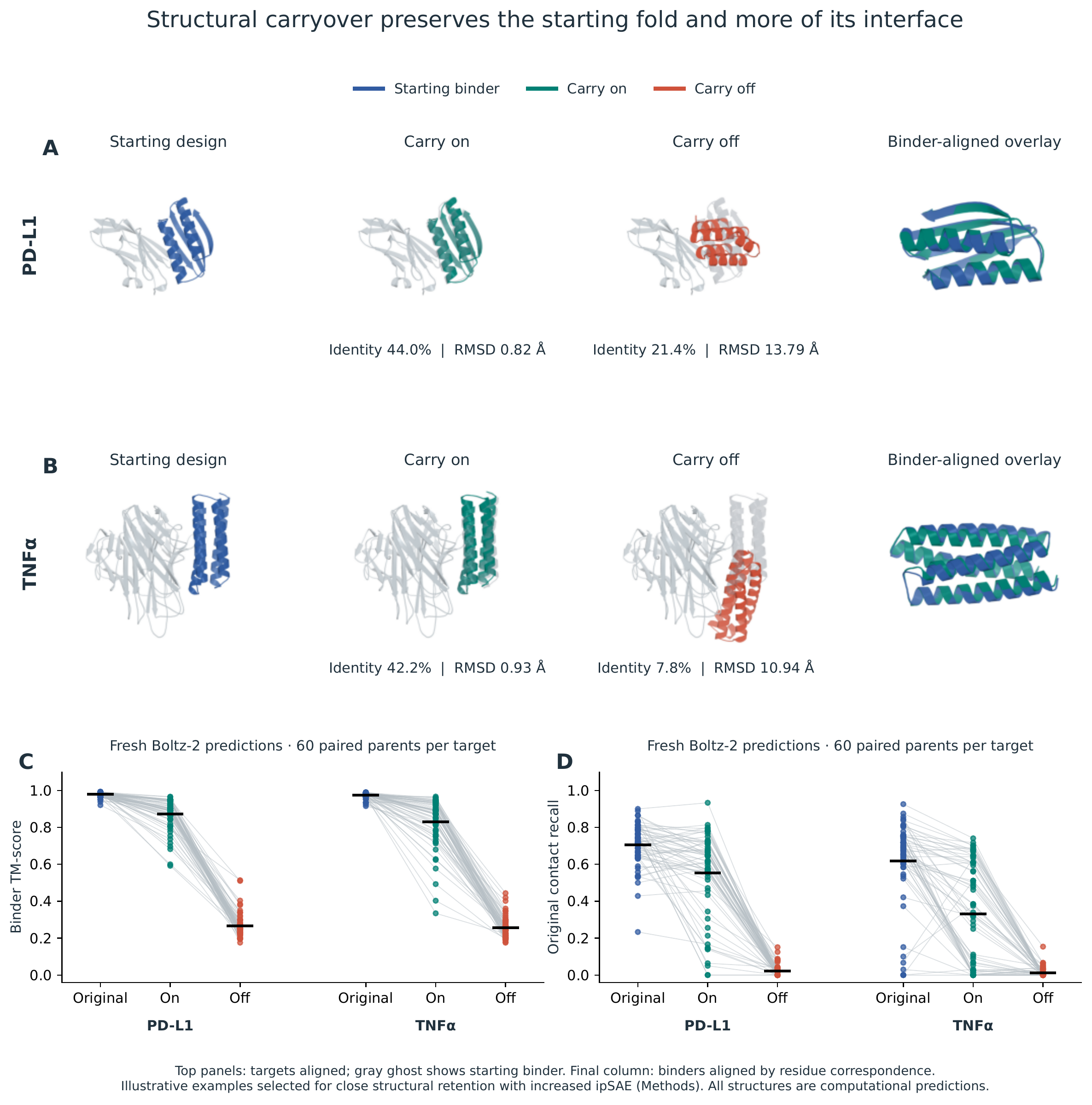 Figure 2. Fold and interface retention after extensive sequence redesign