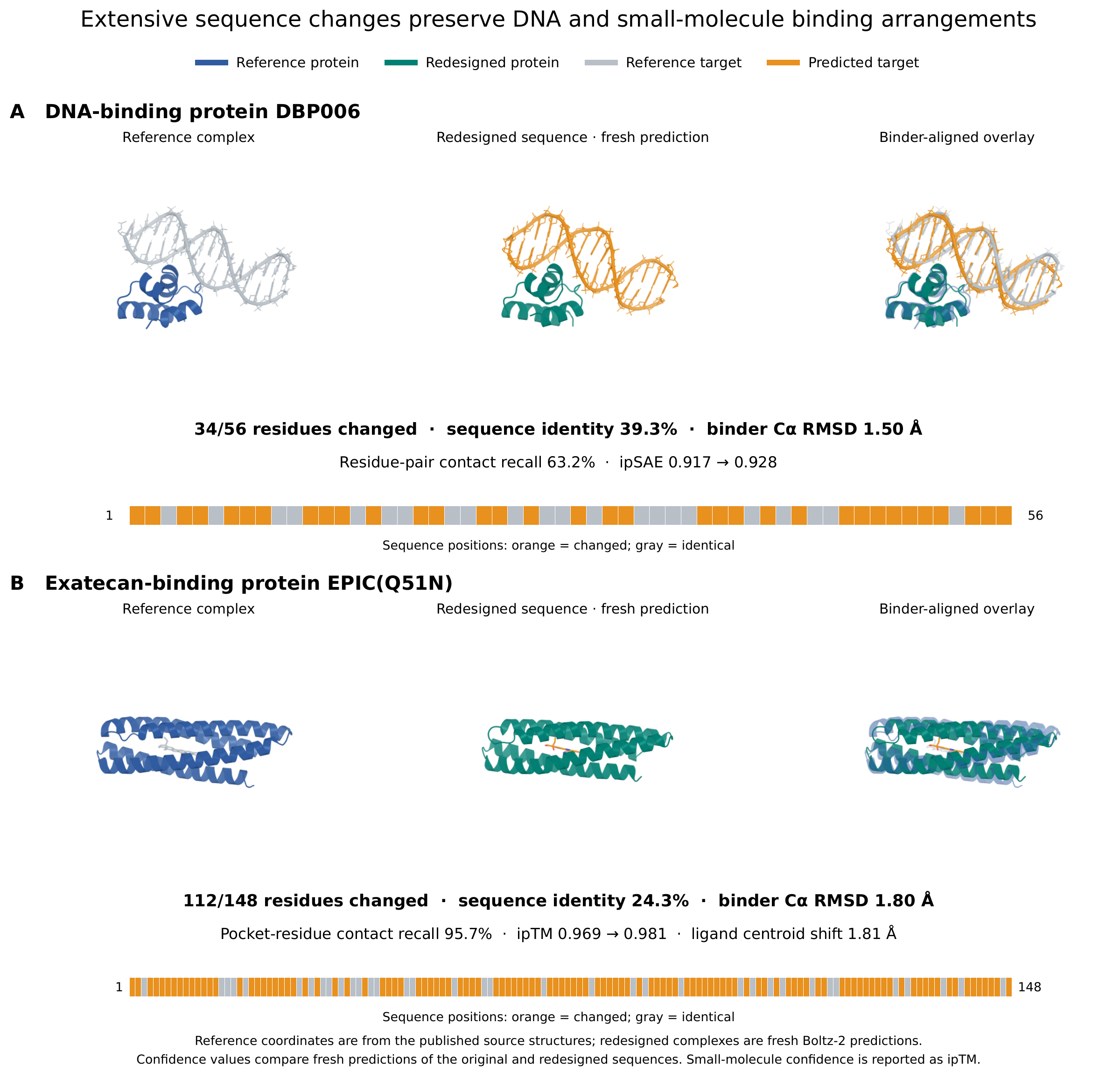 Figure S5. Preserved molecular arrangements despite extensive sequence redesign